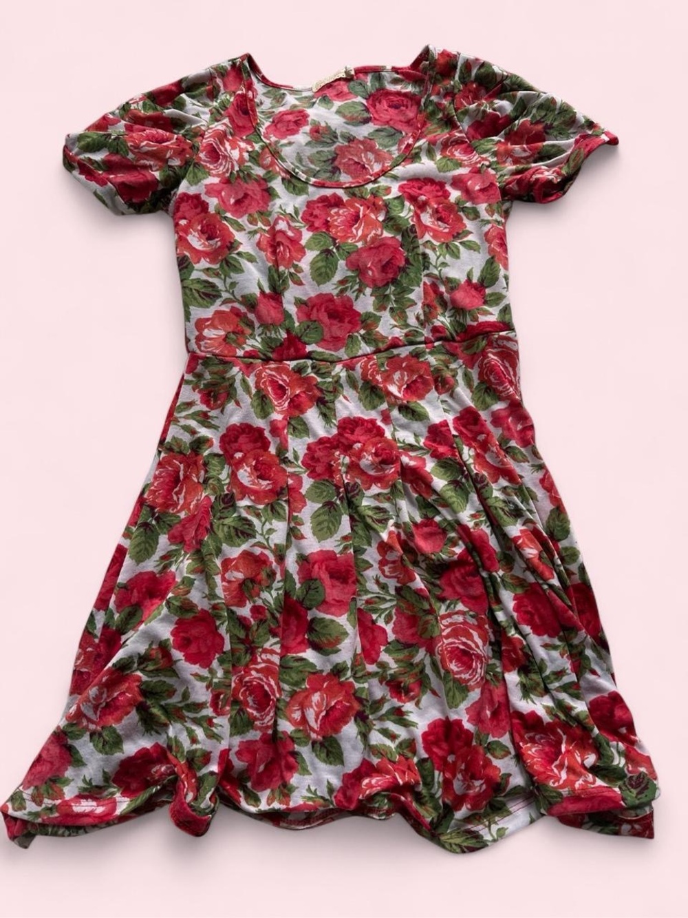 Pins & Needles Red Floral Mini Dress
